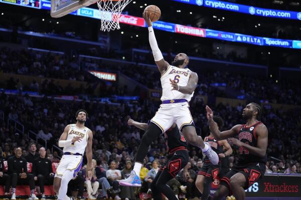 Basket lebron james hotsell